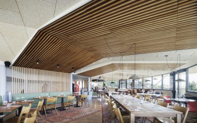 Ventajas de la madera maciza de roble para la arquitectura y el diseño de interiores